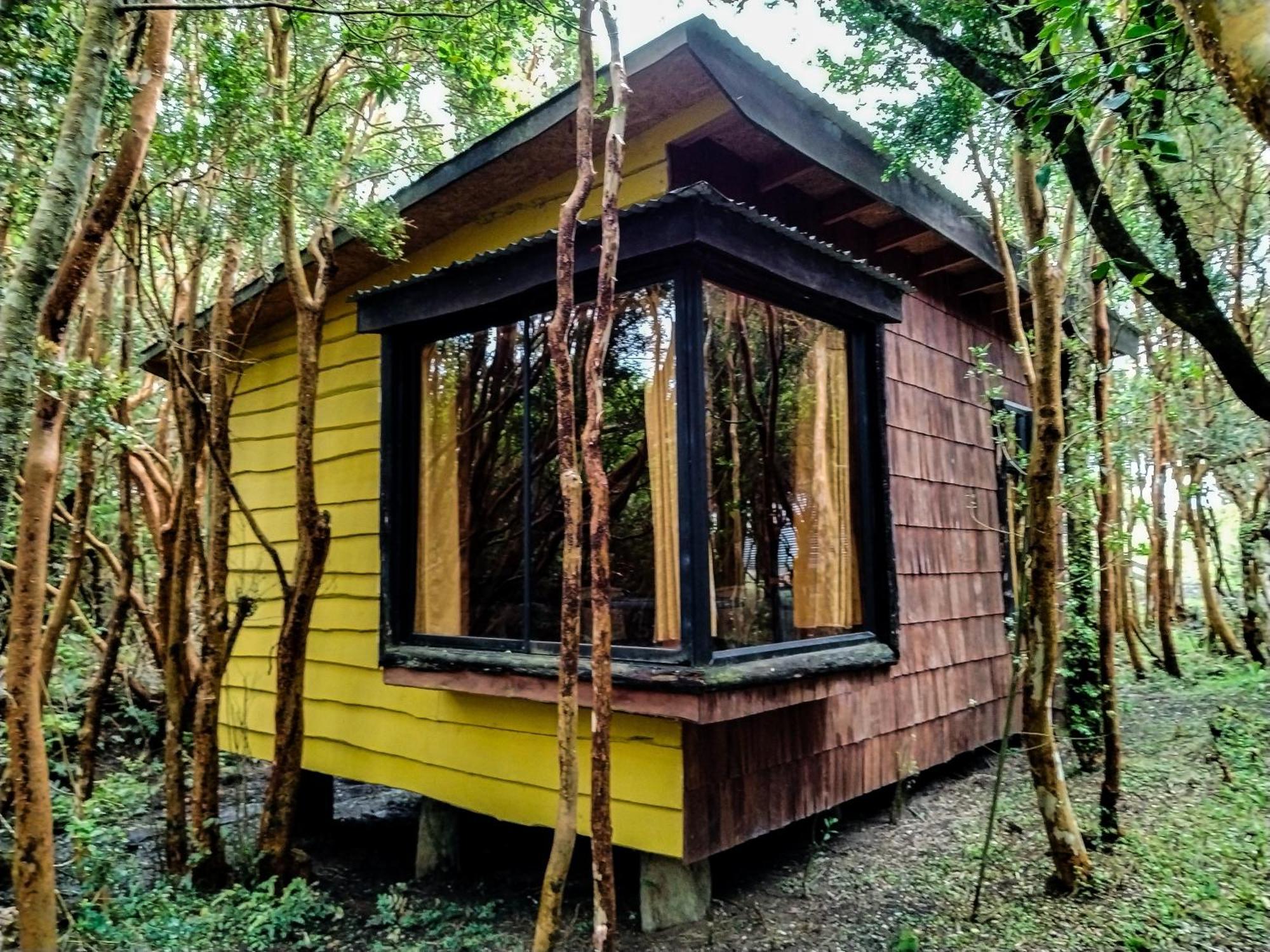 Hostal & Cabanas Luna Del Sur Cucao Bagian luar foto