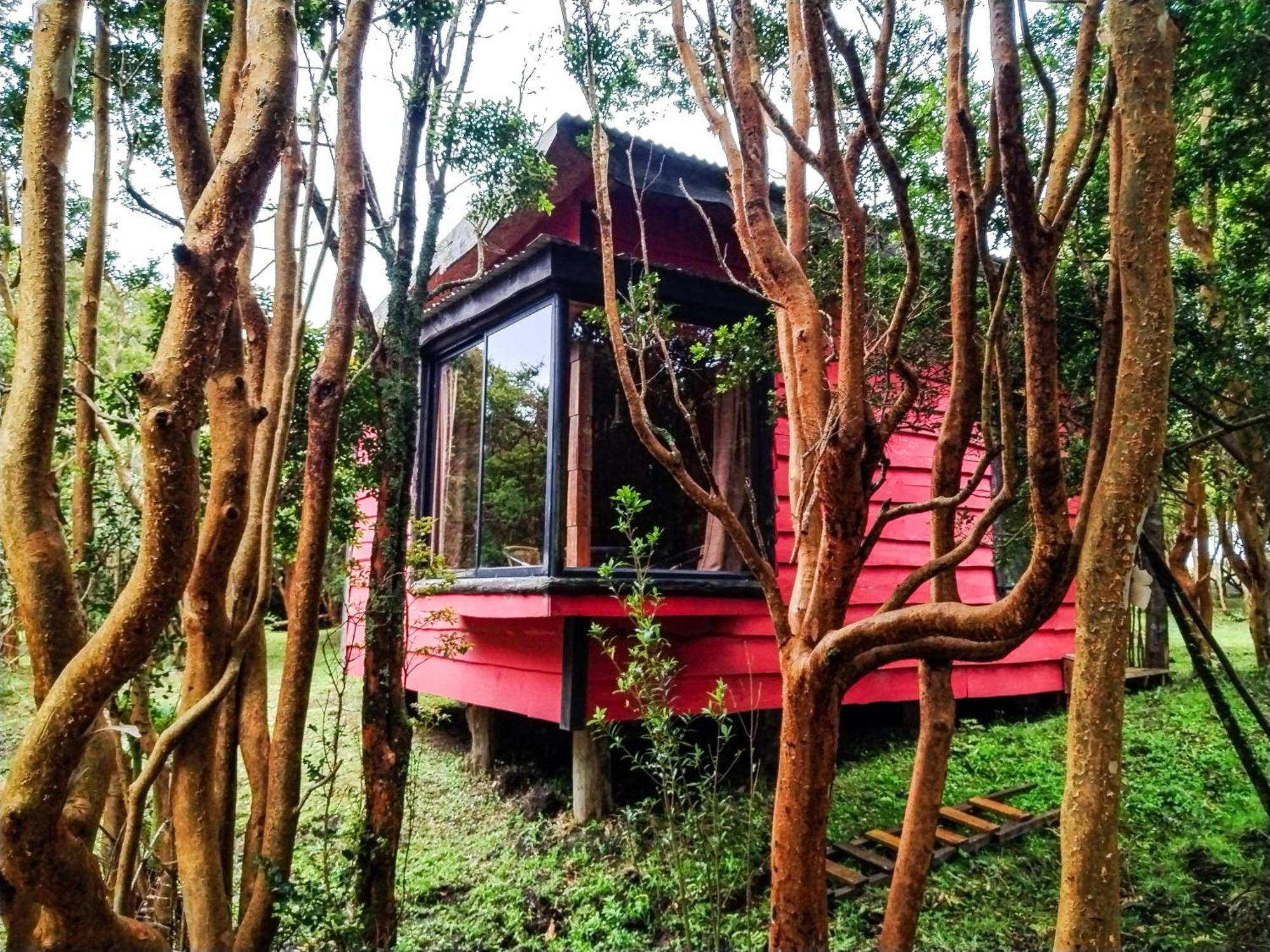 Hostal & Cabanas Luna Del Sur Cucao Bagian luar foto